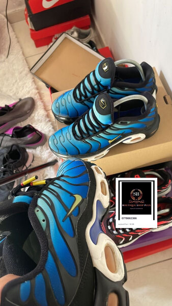 Baskets Air Max bleues