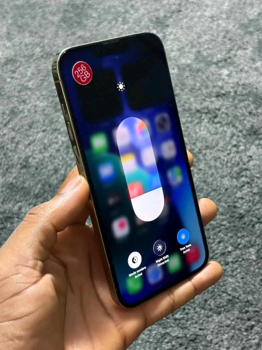 iPhone 13 Pro 256Go Reconditionné