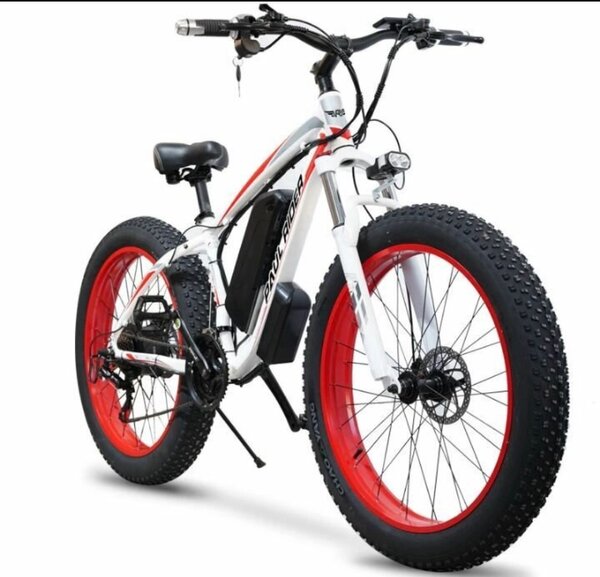 Vélo électrique tout-terrain robuste