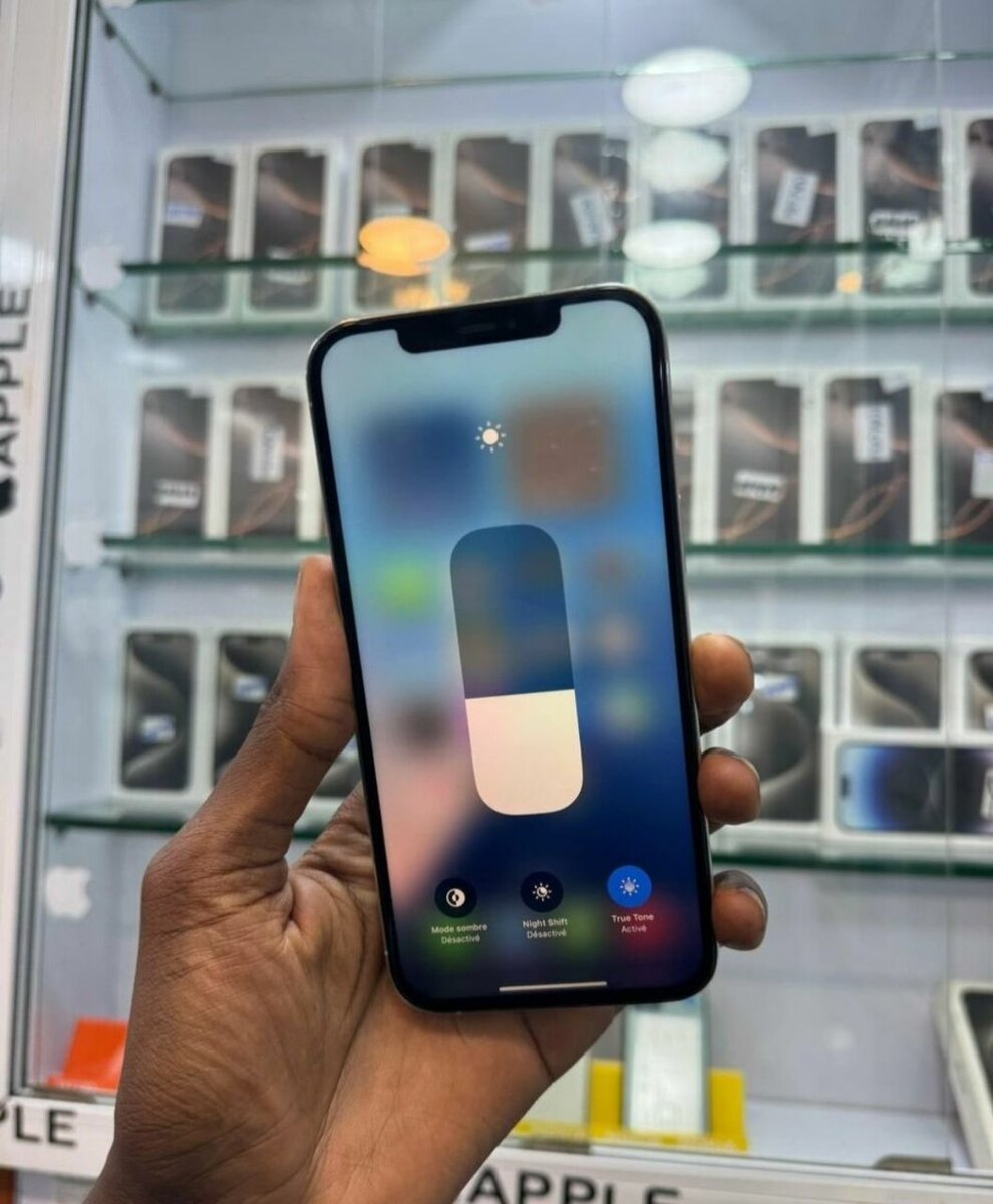 iPhone Apple 12 Pro 256GB