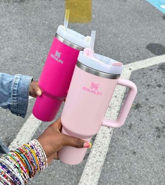 Gourde Stanley Quencher Rose