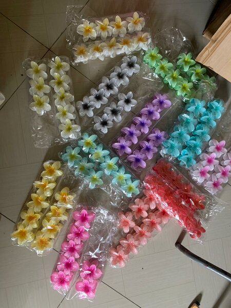 Lot de pinces à cheveux colorées