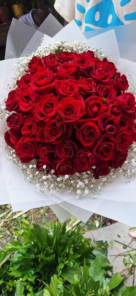 Bouquet de roses rouges