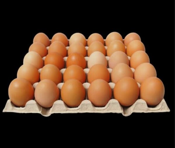 Œufs frais fermiers