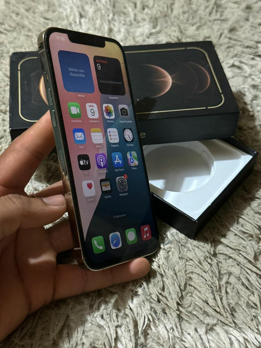 IPHONE 12 PRO MAX 256G