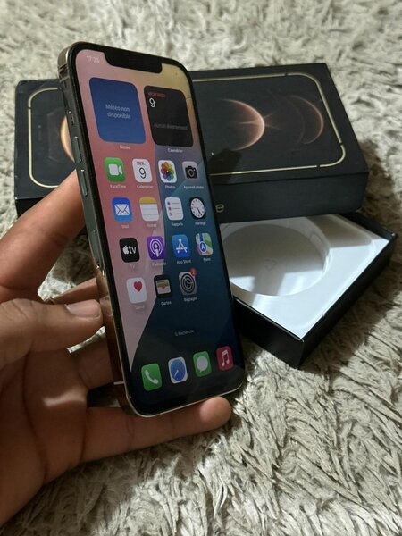 IPHONE 12 PRO MAX 256G