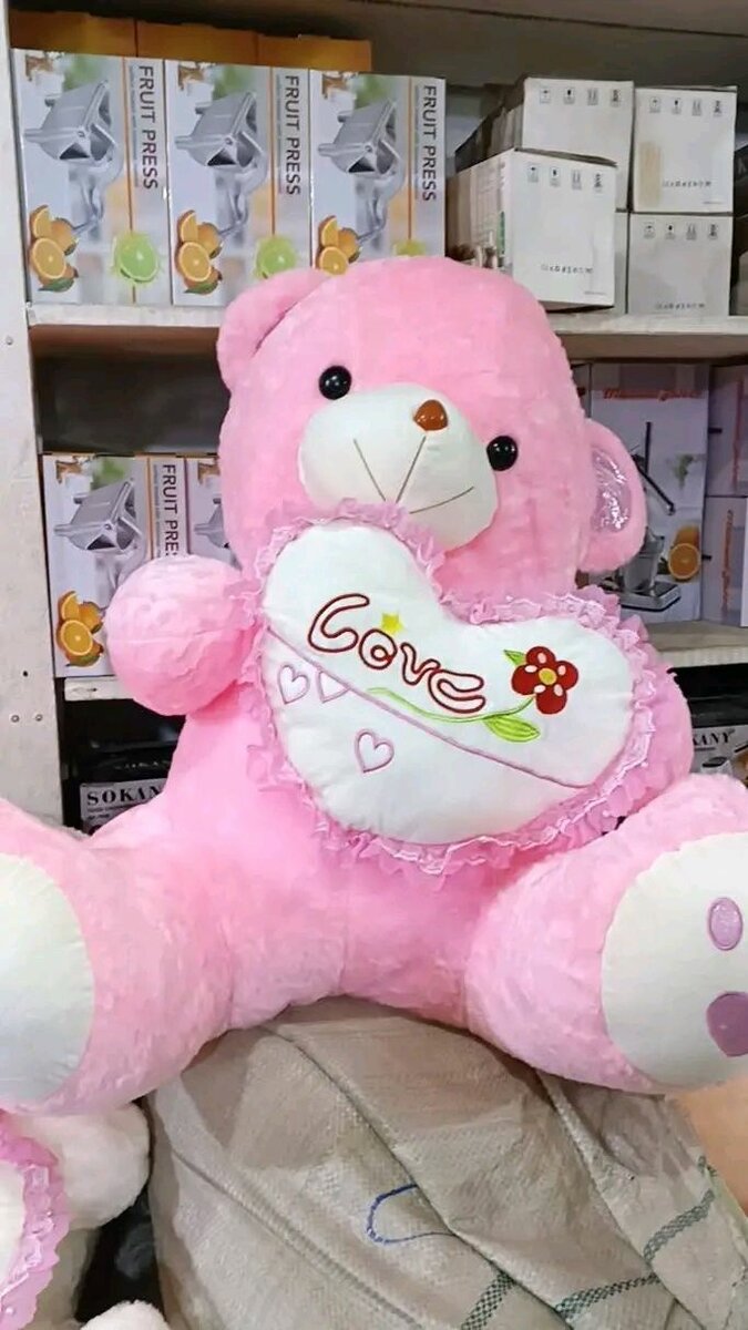 Ours en peluche avec coeur