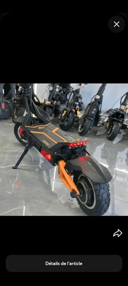 Trottinette Électrique Puissante