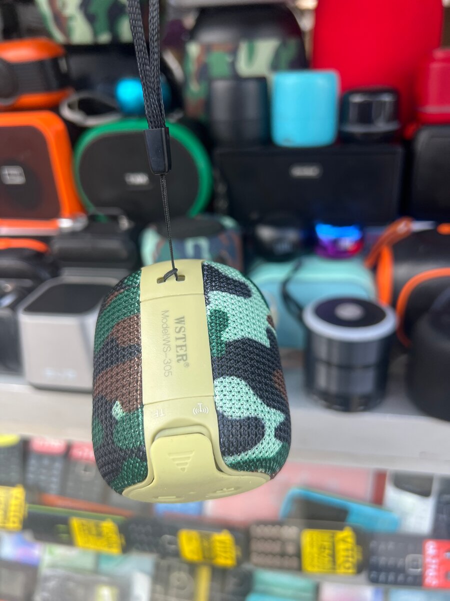 WSTER WS-305 sans fil Speaker