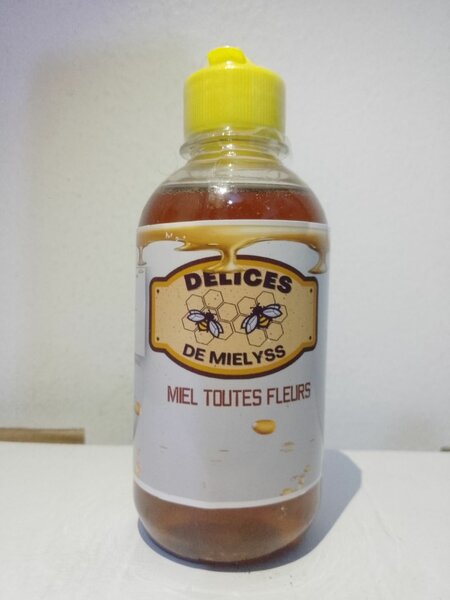MIEL DELICE DE MIELYSS 350g