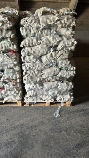 Pommes de terre bio fraîches