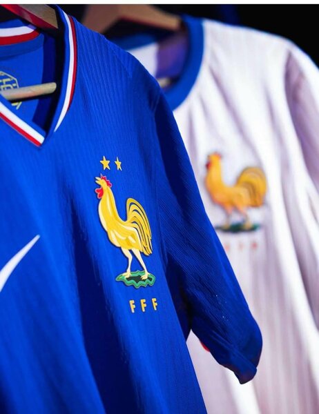 Maillot France domicile et extérieur version pro