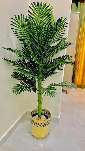 Flower pot Palm plant