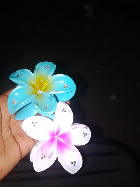 Fleurs décoratives colorées