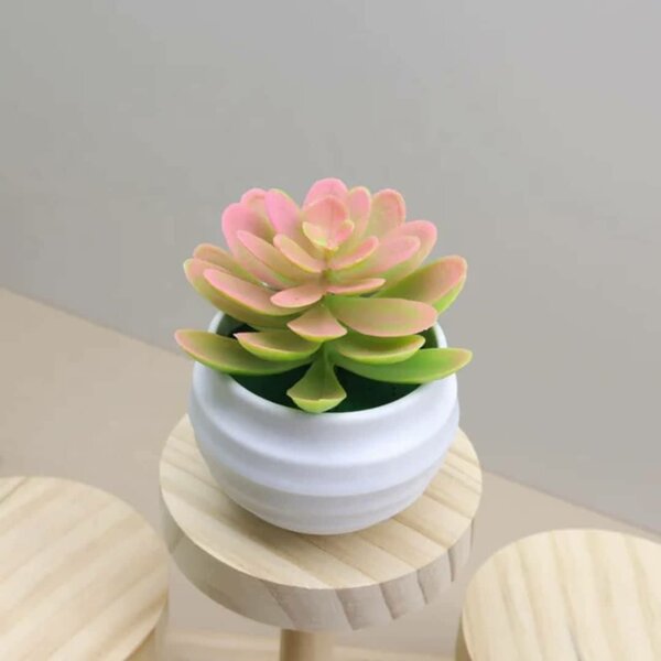 Mini Plantes Succulentes Artificielles