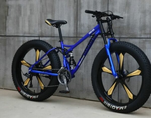 Vélo tout-terrain Fat Bike