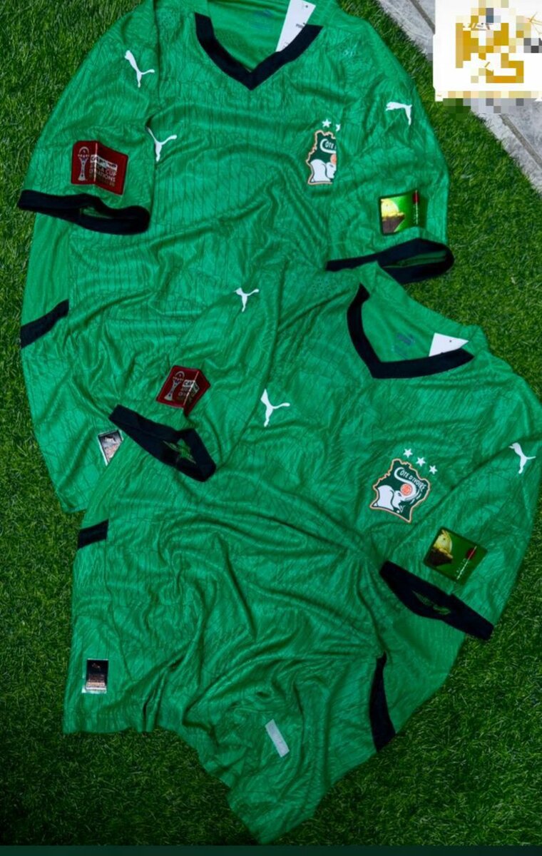 Maillot Puma Équipe