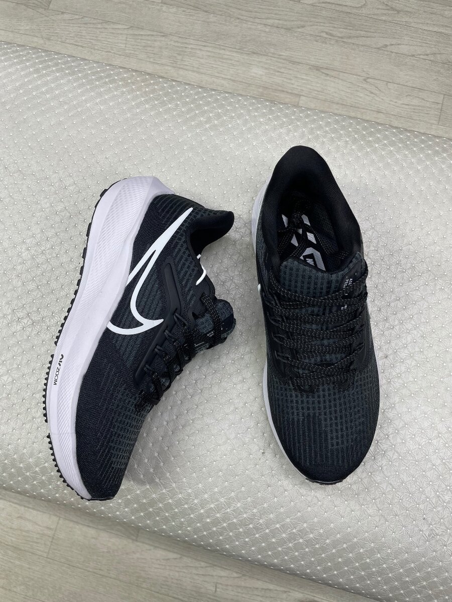 Nike pegasus39