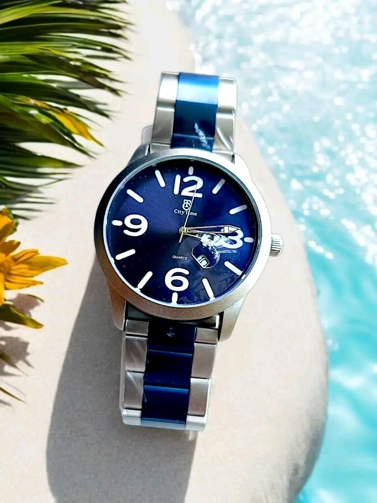 Montre élégante en acier