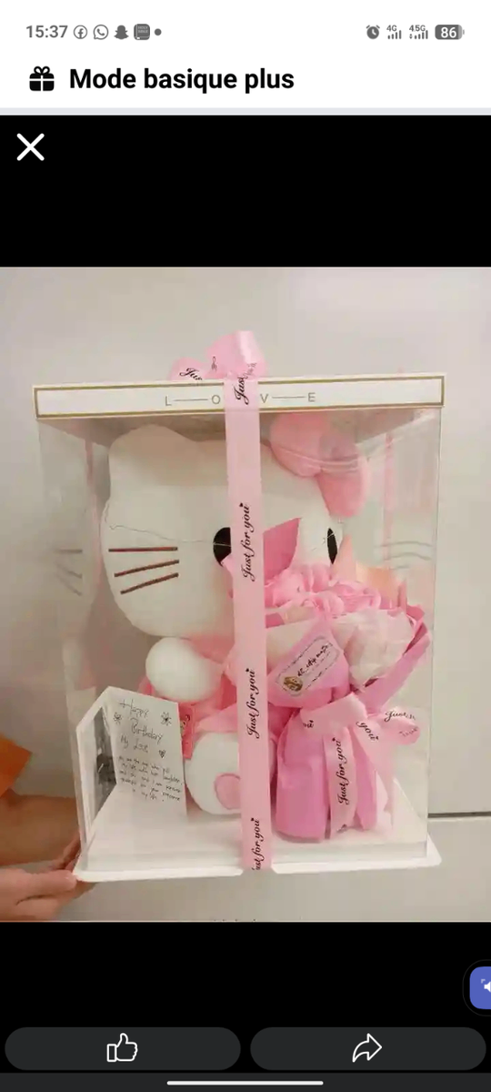 Peluche Hello Kitty Fille Rose