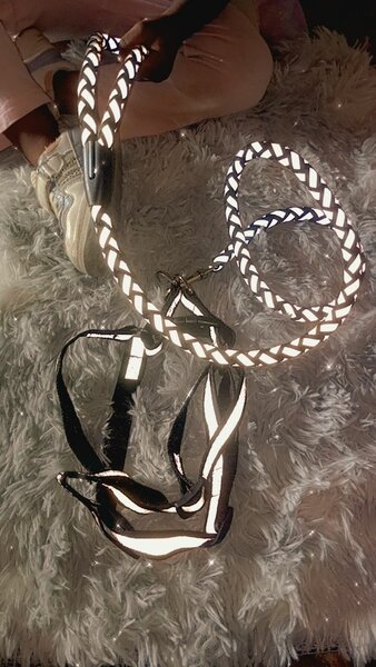 Laisse réfléchissante pour chien