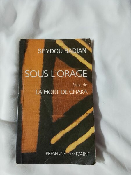Sous l'Orage - Seydou Badian