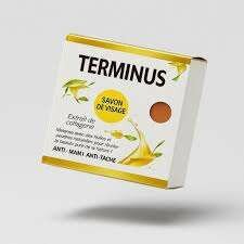 Savon Visage Anti-Tache Terminus