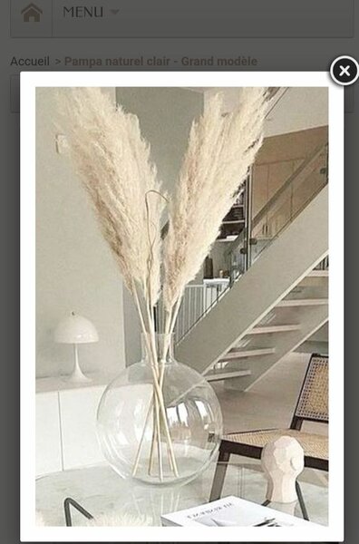 Pampas 1 tige a 3000f