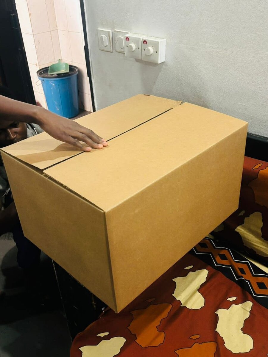 Carton d'emballage robuste