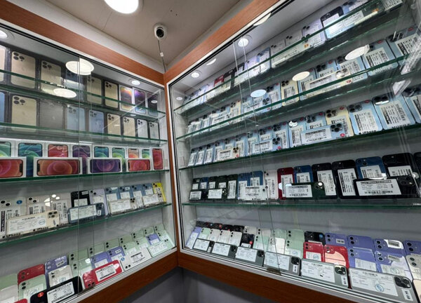 iPhone 13 Diverses Couleurs