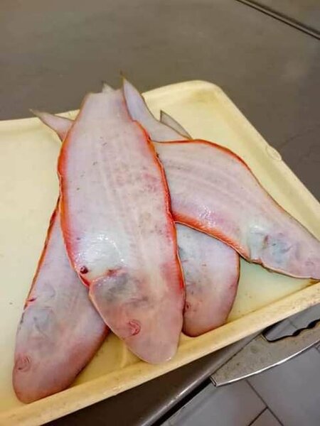 Poissons frais Soles