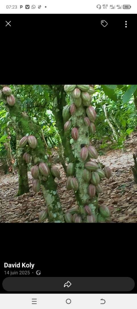 Engrais liquide Agri82