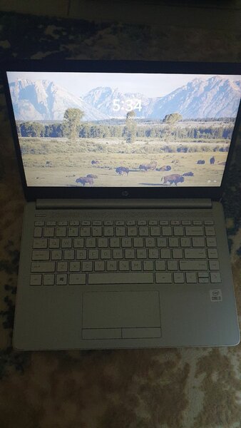 HP Laptop