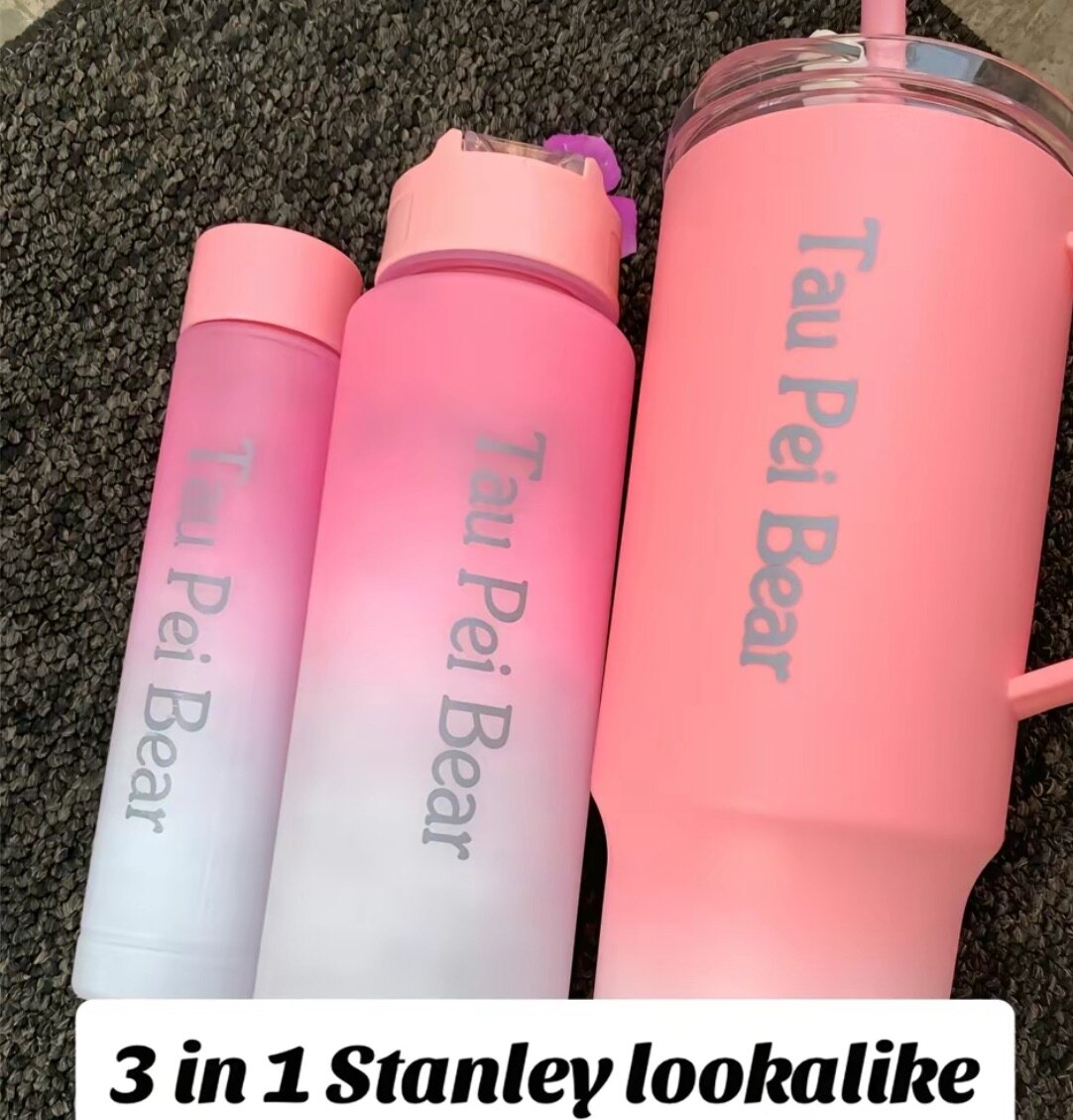 3 in 1 Stanley cup lookalike