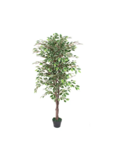 Imported artificial Ficus tree with black Planter