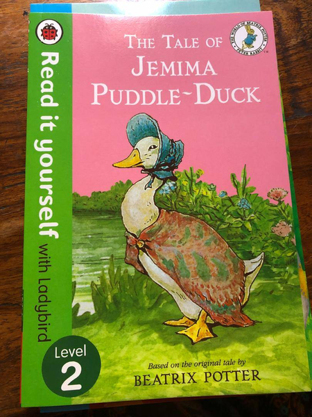 Ladylady bird story books