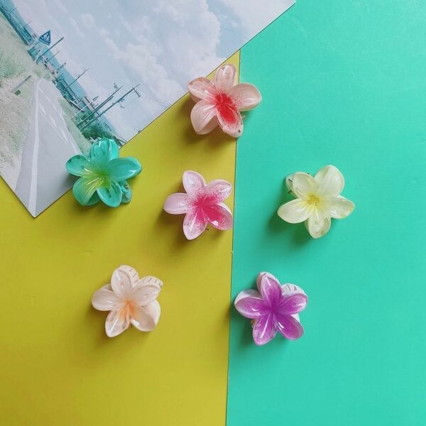 Pinces à cheveux fleurs colorées
