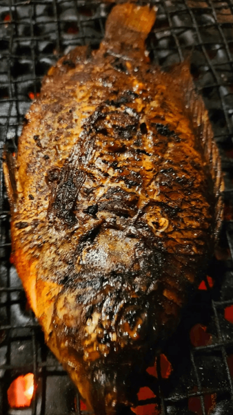 Grosse Carpe Braisé