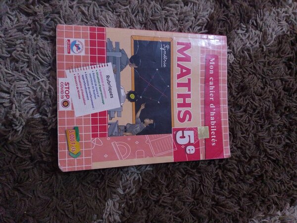 Cahier de Maths 5e Exercices
