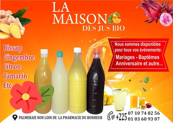 Jus Bio Bissap Gingembre