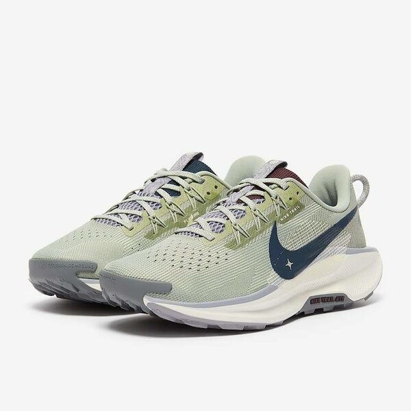 Nike Chaussures de Running Homme