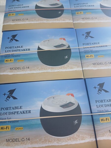 Enceinte Bluetooth Portable Hi-Fi