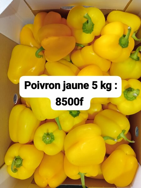 Poivrons jaune et rouge