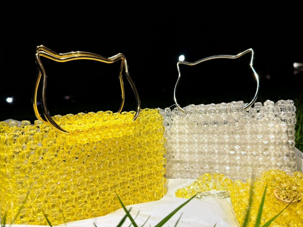 Sac à main chat en acrylique