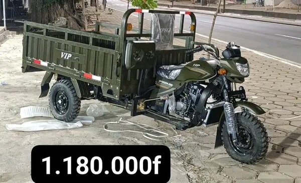 Moto cargo utilitaire robuste