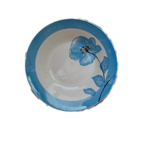 6 Assiettes cassable