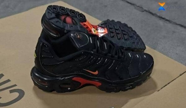 Paire NIKE/TN/authentiques