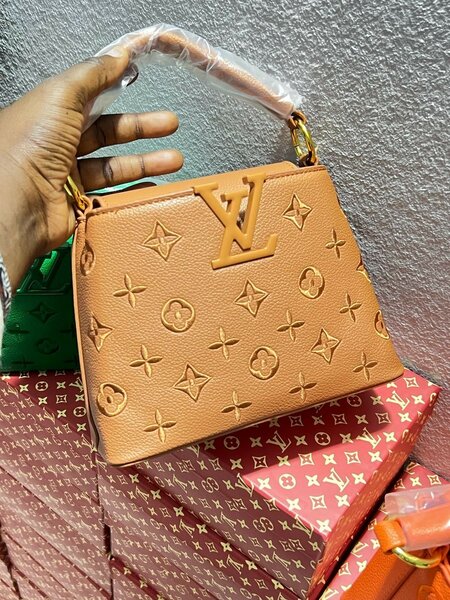 Sac Louis Vuitton