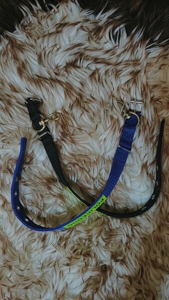 Colliers réglables pour chiens