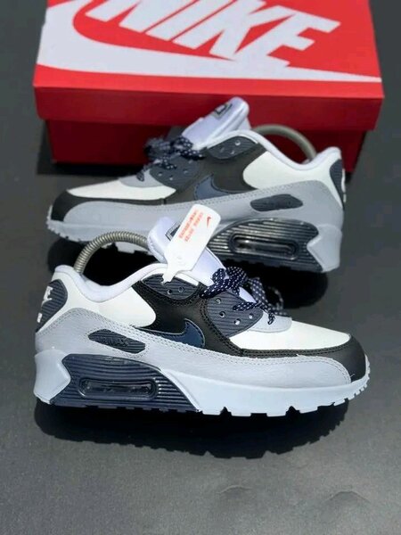 Chaussures Nike Air Max